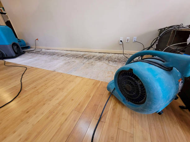 Professional Water Extraction technician working in Ruffin, SC